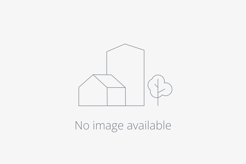 244 Camellia Bloom Drive, Moncks Corner, SC, 29461 244 Camellia Bloom Drive, Moncks Corner, SC, 29461